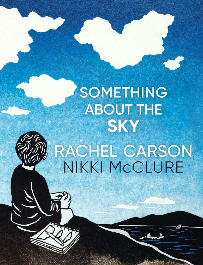 Something about the sky cover