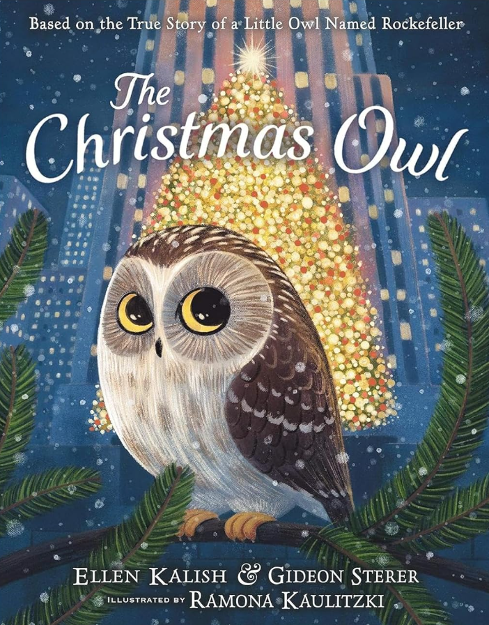 The Christmas Owl Cover